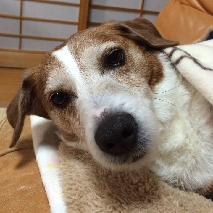 83a6d6a7 6912 4501 87e7 40cd5a6e54f6