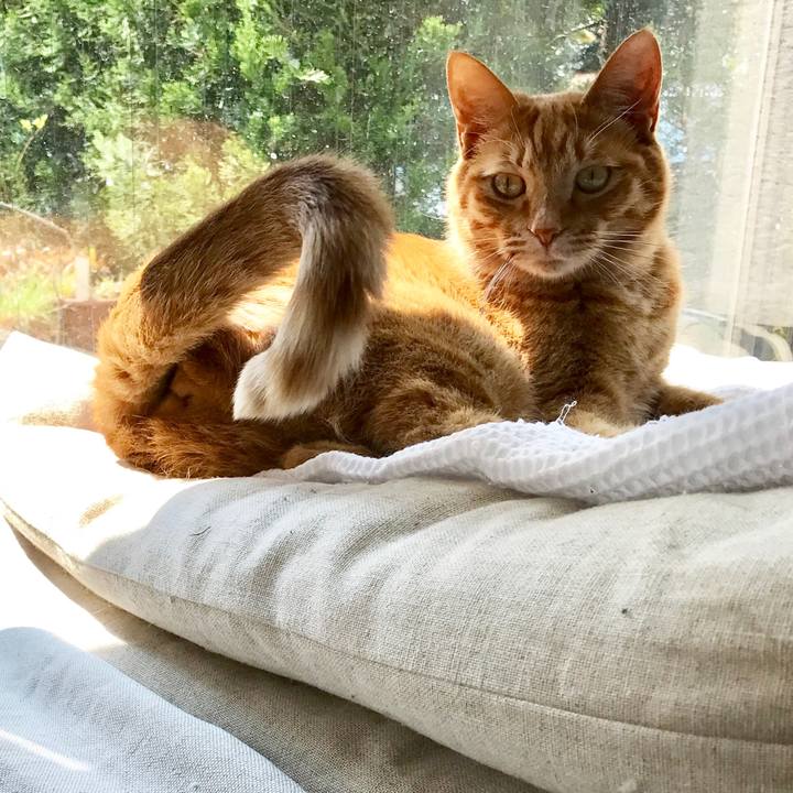 83a6eb8e 0646 4e96 b7a1 2a1b9e05498c