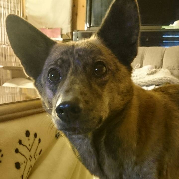 83a79b9c 5bc1 49bc a716 a032f4fcb29e