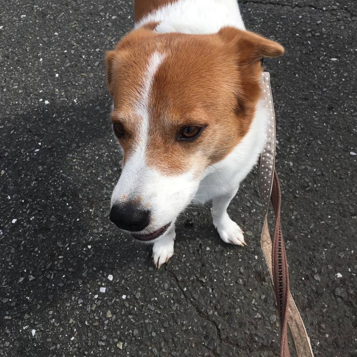 83a90ab4 2626 47dc a5cd 52bfece311e6