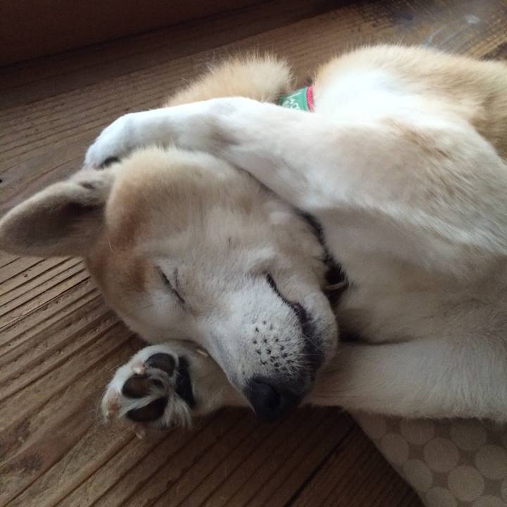 83a94a14 5fe8 4039 9bd5 9eafd6eb1211