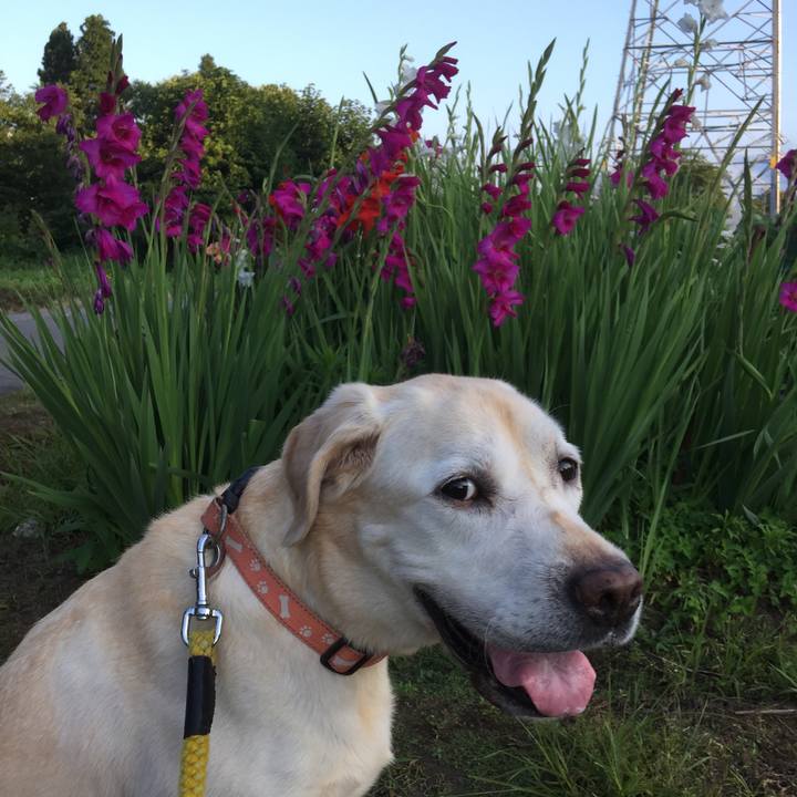 83aa67ea 18e0 4bfb 81ef e72e8f612a4e