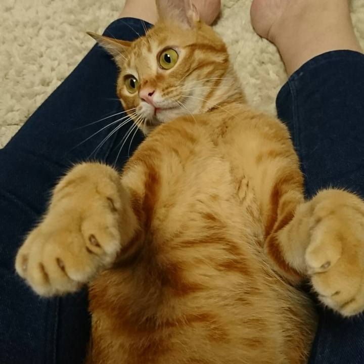 83aabf0b 9a44 4fc1 a382 08bb80b2a171