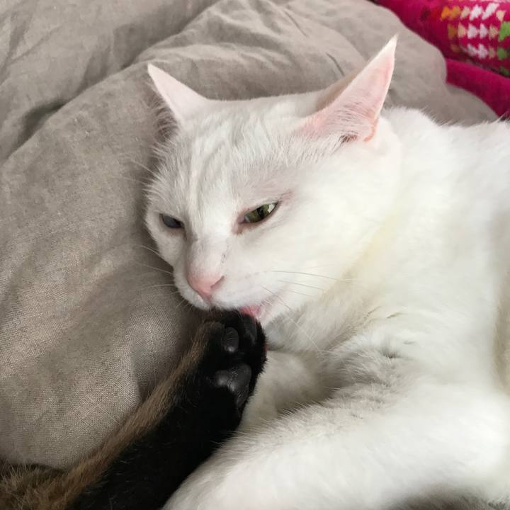 83aaeef7 7585 4f95 9770 4d6f10e4f21f