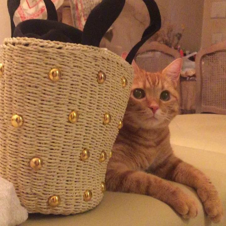 83ab0a77 b103 4362 8e8d c012eab2bd90