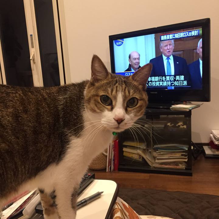 83ab7807 c623 45ba 9200 a88ac0bd5171