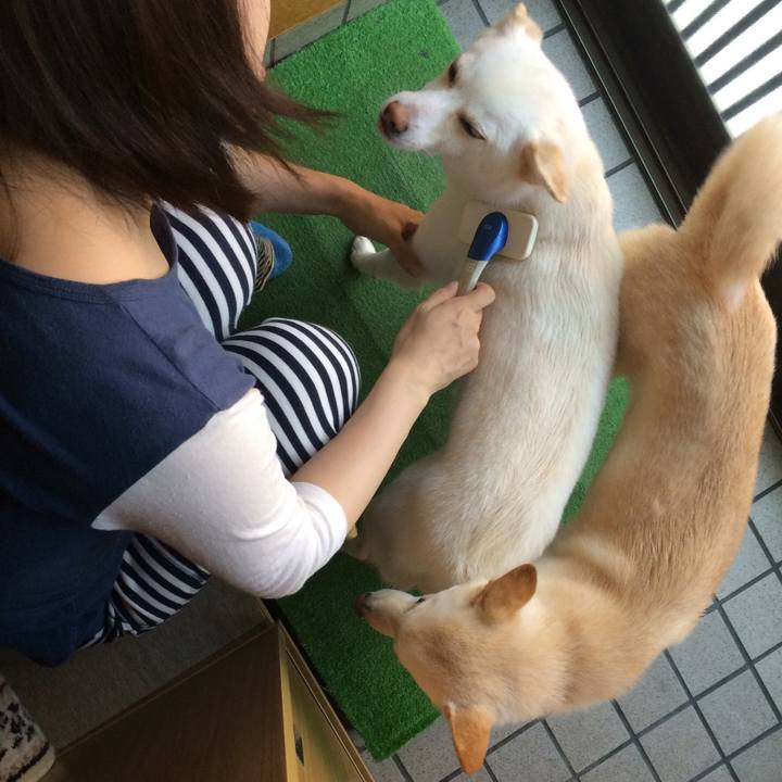 83abbe12 3d57 4ae0 a741 c540cb691e4a