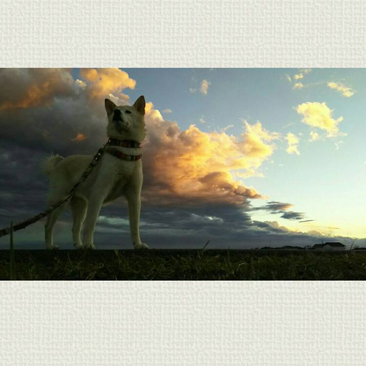 83abda04 f915 4430 9e33 1b2cad3ec81e