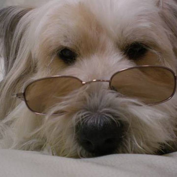 83abece8 3f91 4ace 9b9f c8269316f7ae