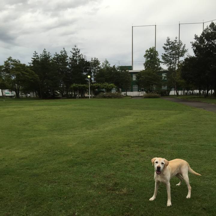 83ac1270 bc13 482b 9430 d2872e149362