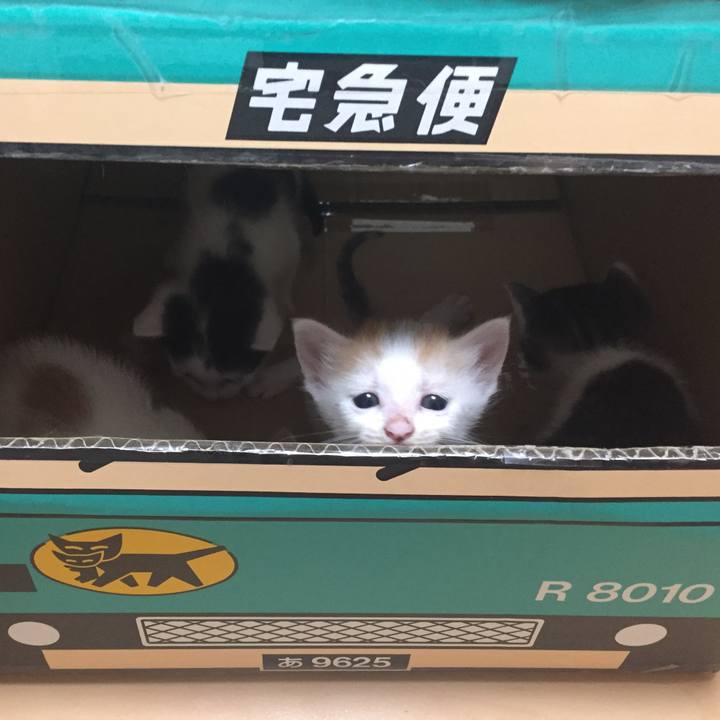 83ac34c8 6507 4507 9fac 006c917d8c68