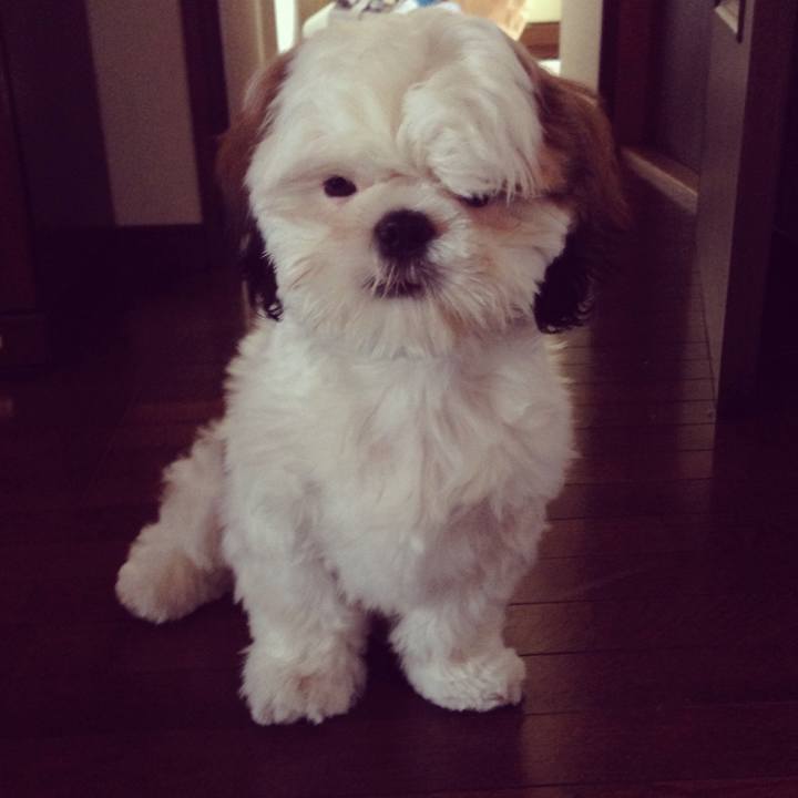 83ac7923 848c 4c87 a1b2 b797c0e1266b