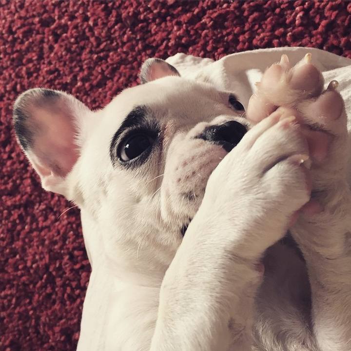 83ac81ab 5142 4e91 abe3 fd05d8e3503b