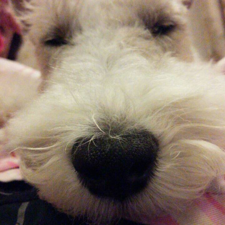 83ad0b0d cae9 4f8d 82de 7ff32b6551ab