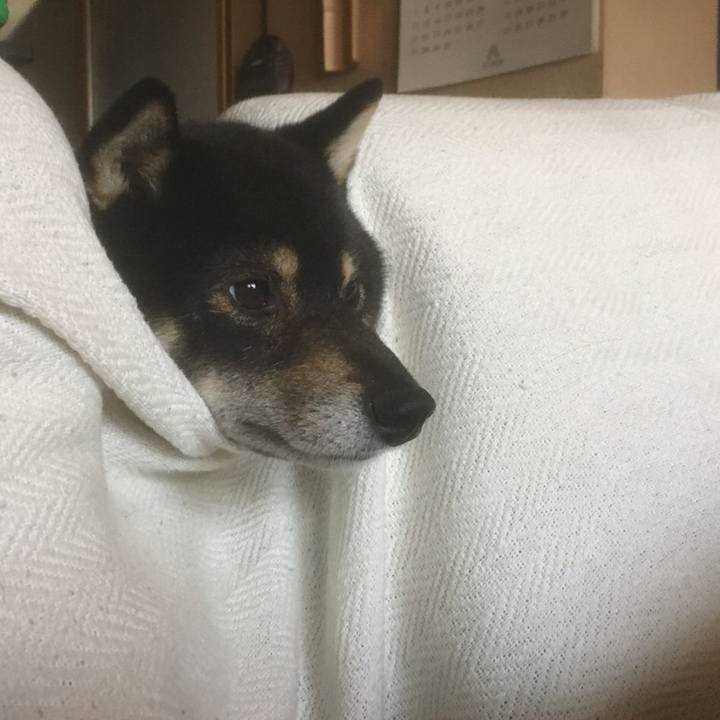 83adef33 d5b5 4e8b 9a03 8bf8f8c6c6d3