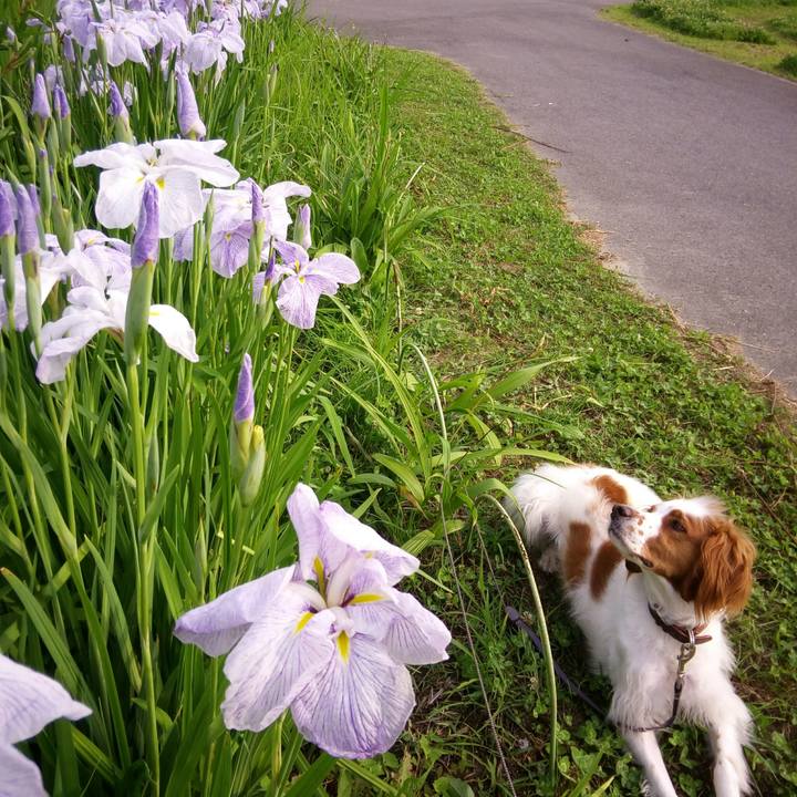 83adf00c af4d 449e b97e 4d41d0a80fb5