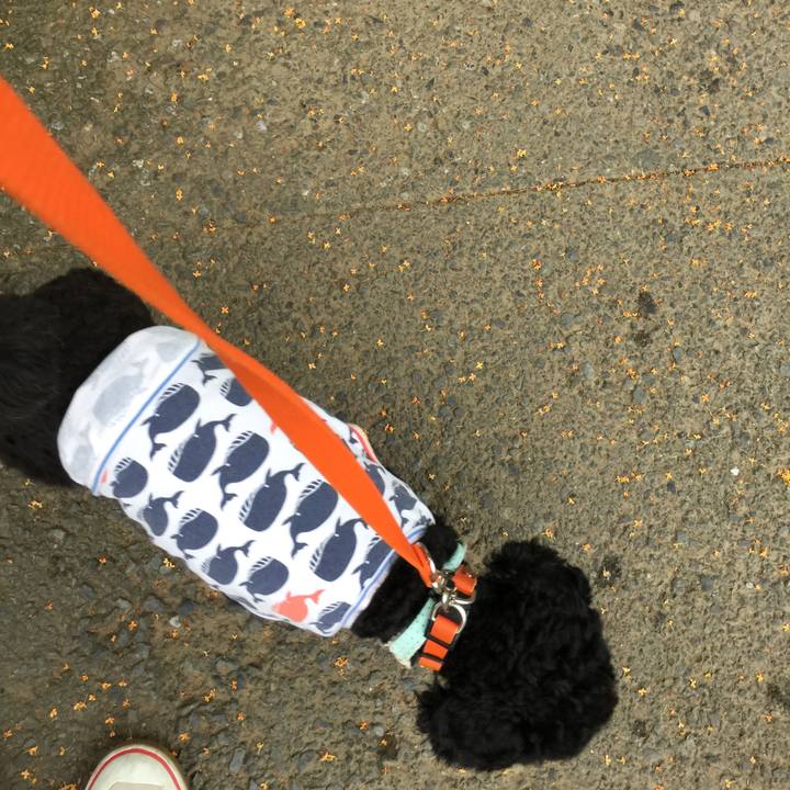 83ae55c9 de29 49df 865e 2a289ef0ceff