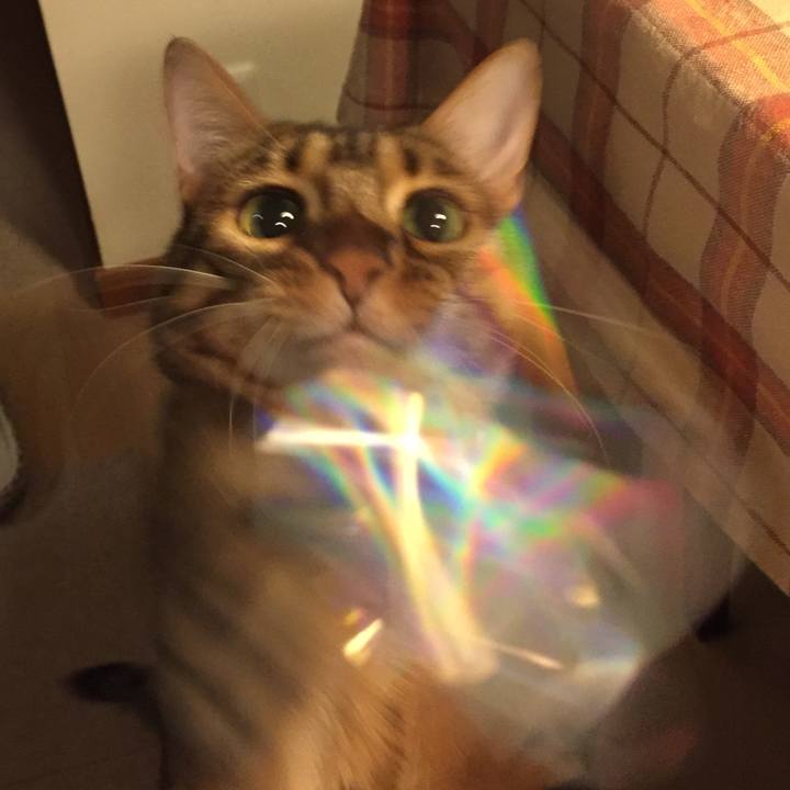 83ae8513 d3c1 482a bc94 0156c8b1eb1a