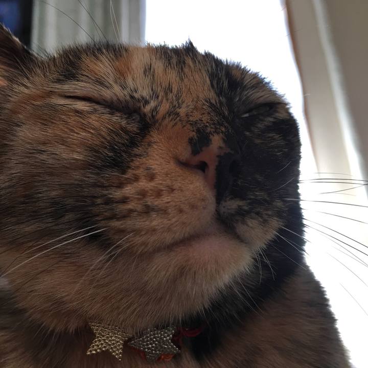 83af4dea 6912 4f49 8a4a 17d9cb9bd5e5