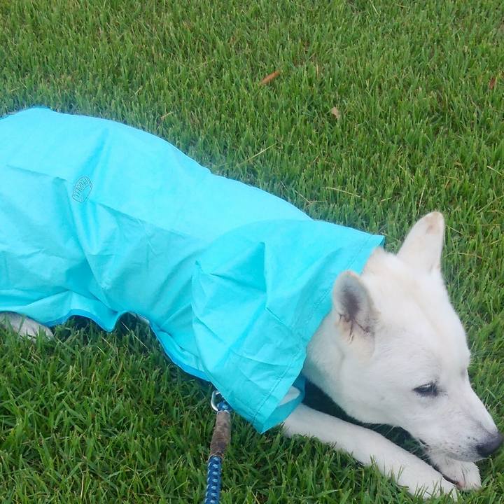 83af4dfc ba43 45fd acf8 adbd5972a3b3