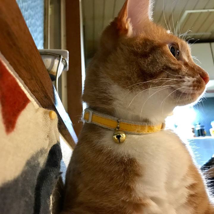 83af6c41 9080 46bf 8e05 4ae1c18237ae