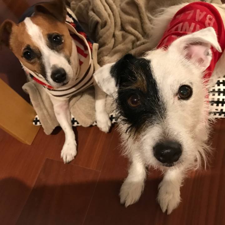 83afa546 0f0a 4f64 9c26 6d9a2e5b317d