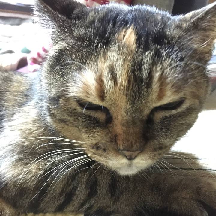 83b0fa5f 8873 4fe4 b4a0 b831ebcdcd6f