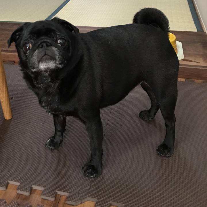 83b20a82 e8c1 4b90 aa4d b2b141867d59