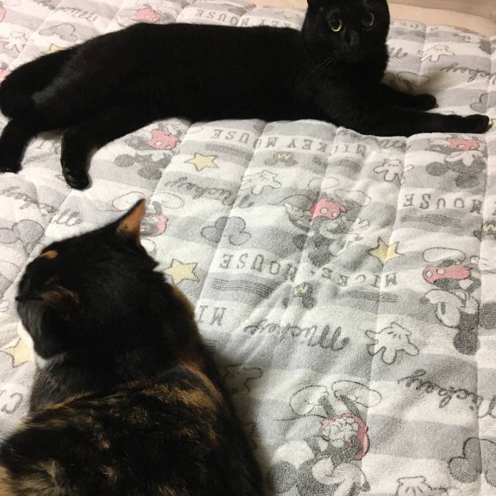 83b20f95 606b 486b b8e7 484508556b42