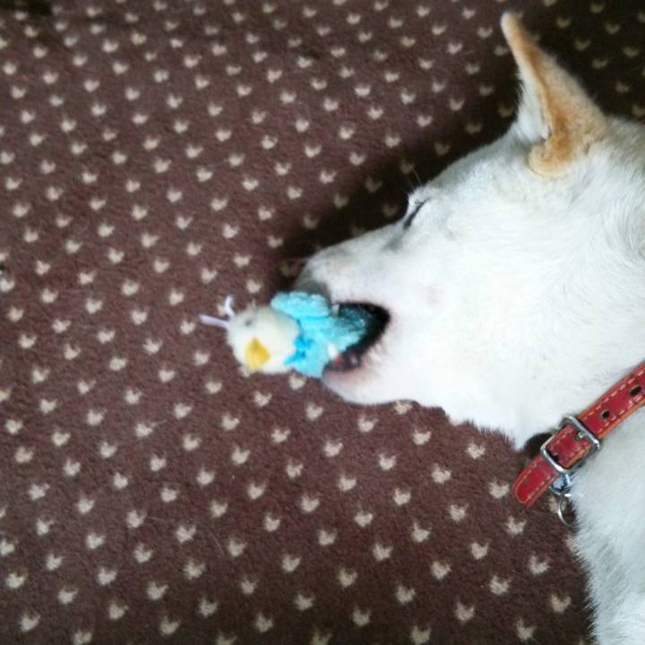 83b26b80 e0dc 43d5 85ce 6d6bccd4e7c8