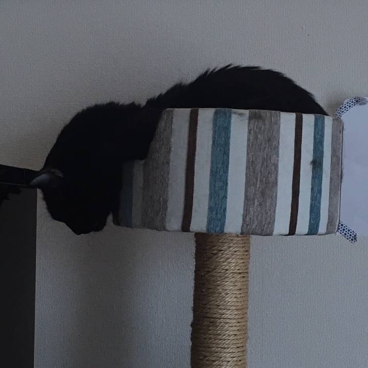 83b35dad f4f5 4232 a6c8 612bc05c16a9