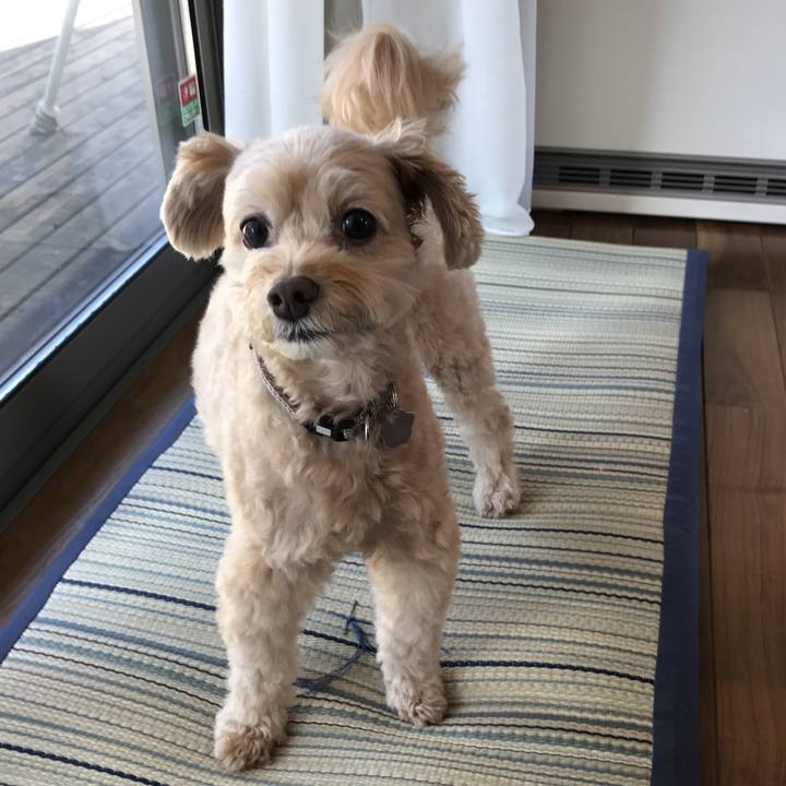 83b36638 c381 4e32 9de1 40ce194d1889