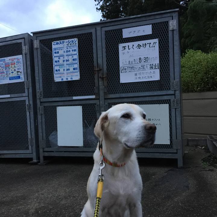 83b38249 359a 464c 8c57 5f12e872bda5