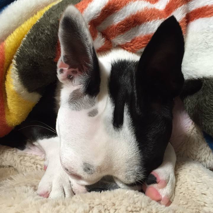 83b3b41d fa8b 4d68 8c24 e1faa4abcdc0