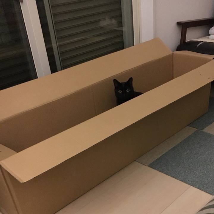 83b3d4a3 6b60 4d52 aaa1 a347ffb73152