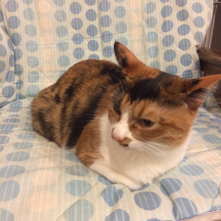 83b520b8 bcb0 4128 b26c 9d51a1cfd878