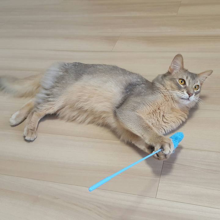 83b58935 7035 4e4e b1aa 41f623a1f80a