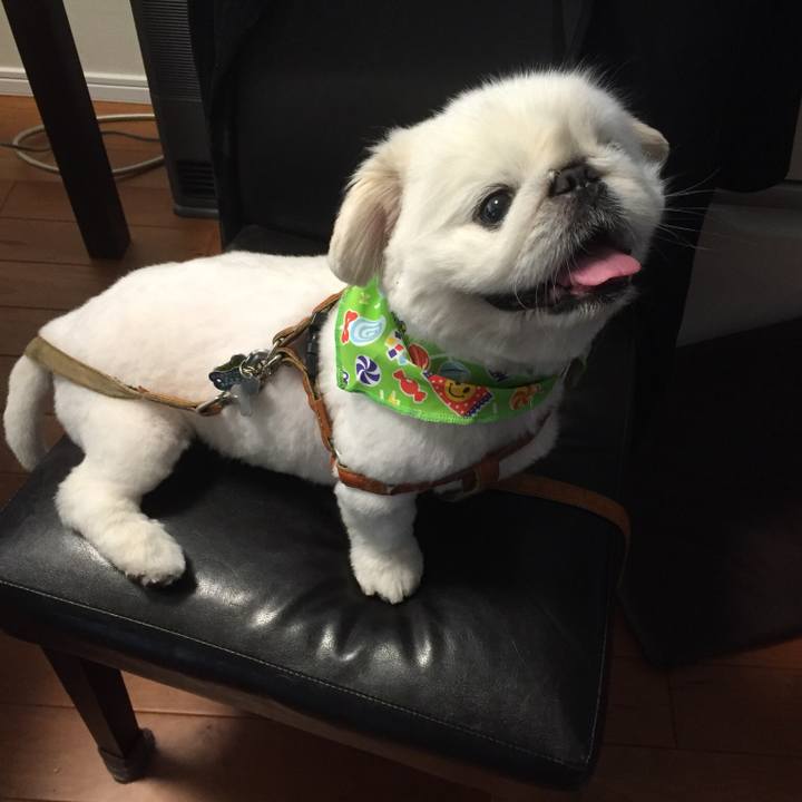 83b65924 ef02 4cf1 ae41 d0e083456d71