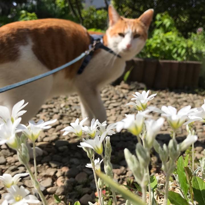 83b6dc2c b840 43ad a71d e4d4cde9f847