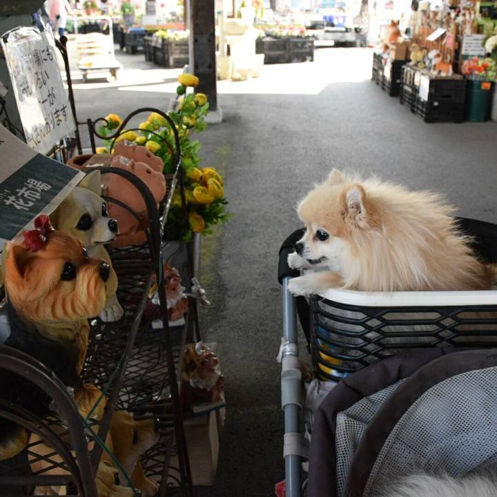 83b7e51a 498b 4c73 b939 7b5e78261a2d