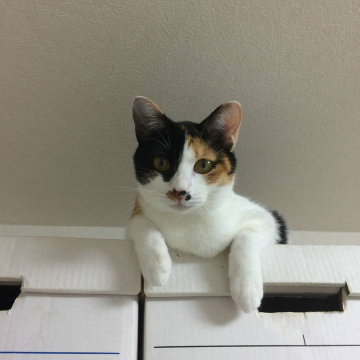 83b80ae3 3fb1 4198 8248 fd4323ef865a