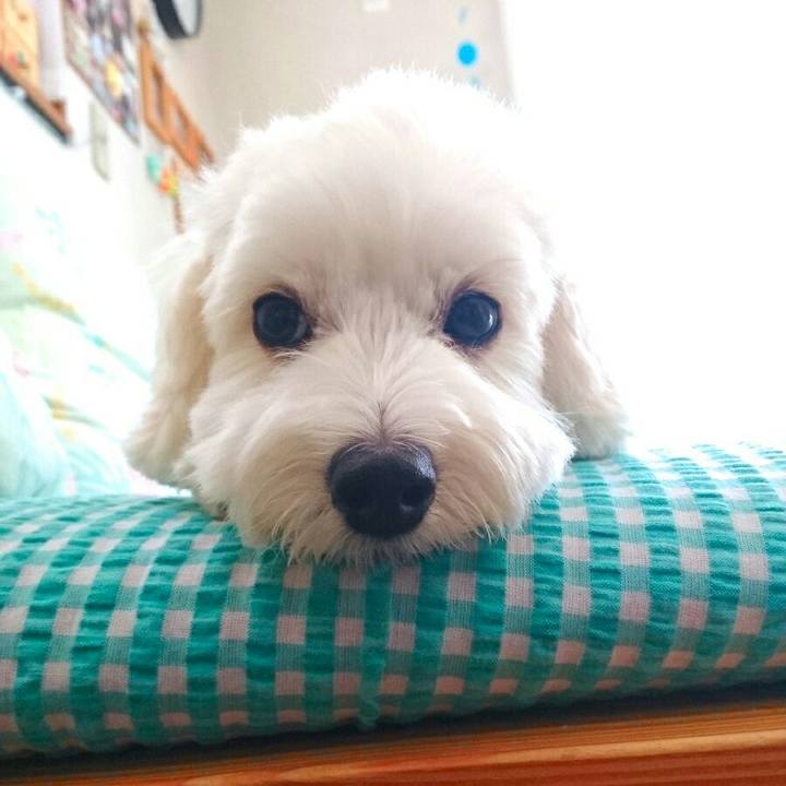 83b816e2 45f9 4340 b3d1 273f10fb2389