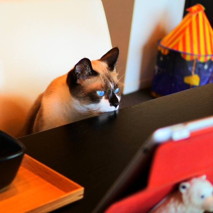 83b822ba b309 491b a2bc 94bd61821f2f