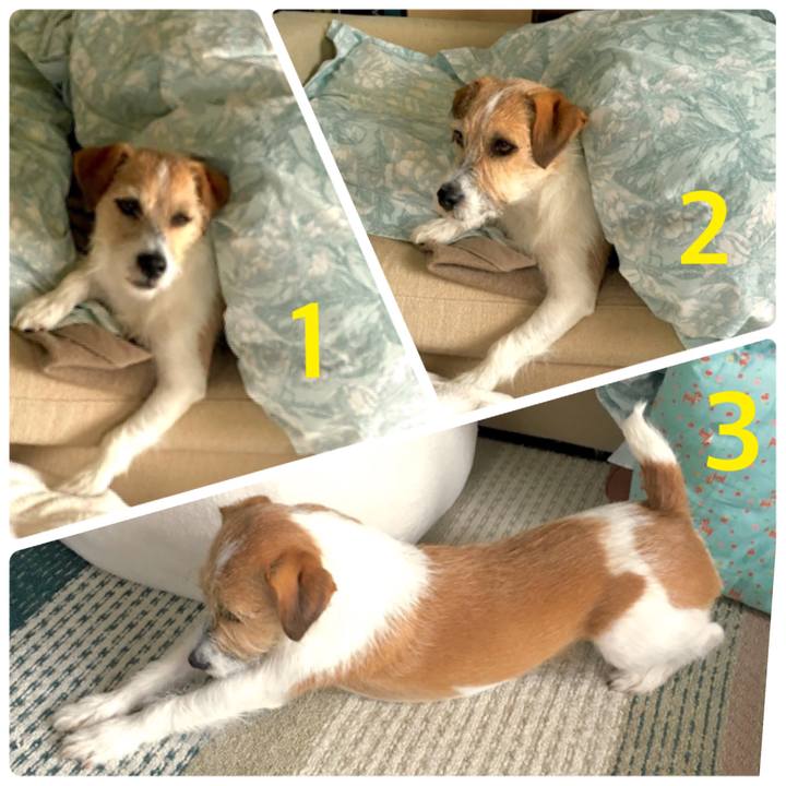 83b8719b 473b 412d 874f 2065f5826ee6