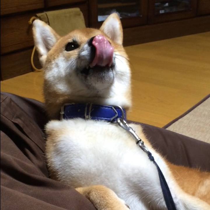 83b874ad 4fa9 4d2f 8b62 817120a03ab9