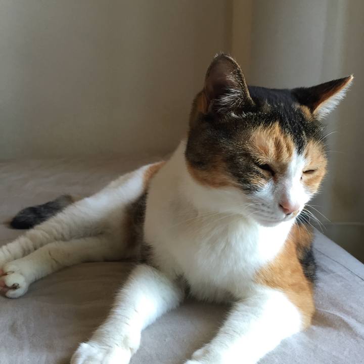 83b8e374 de45 4908 84f5 ad94bbad84d9