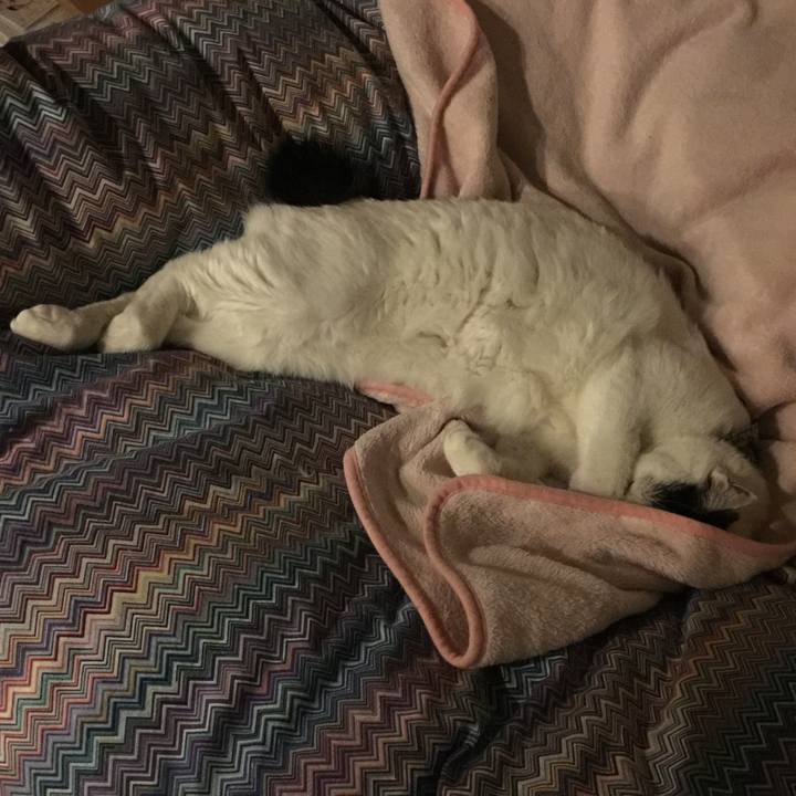 83b98366 8a3d 4bc1 ae8c 92557cfbd856