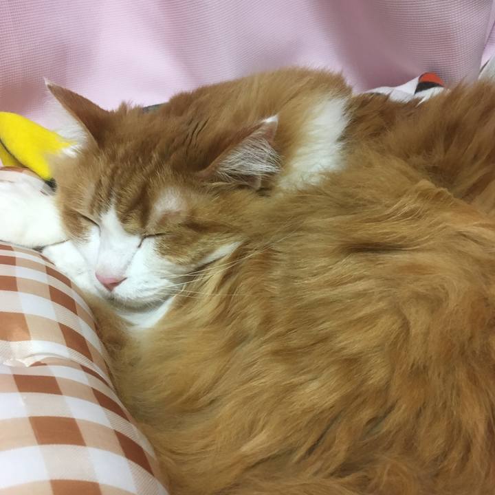 83b9b200 c205 45e2 bccf 60d30e2dd702