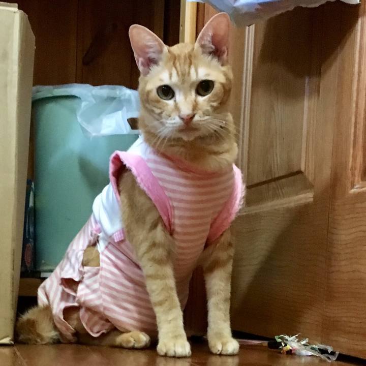 83b9d86d 7112 4ceb 8c66 43baa4e8fda7