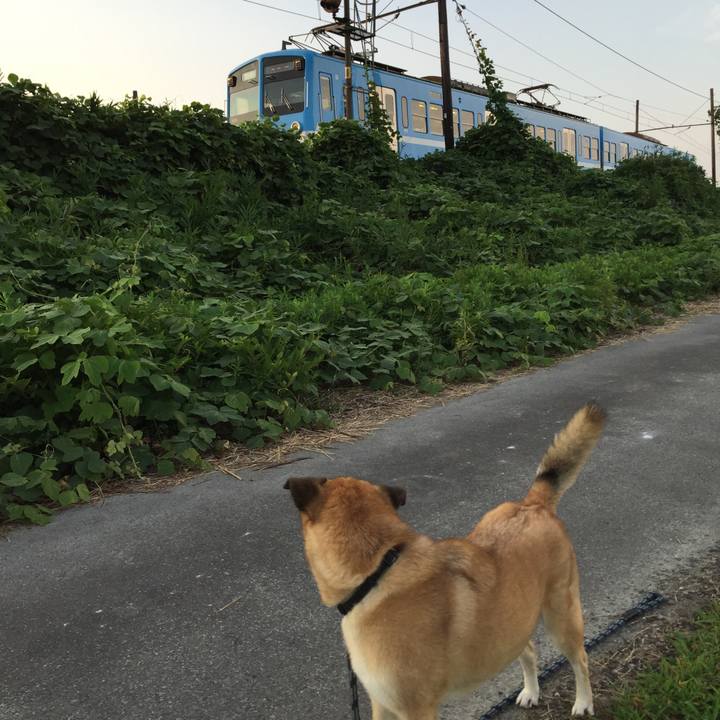 83ba34f6 f318 43b6 9c43 243d9bb1e4fd